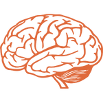 Curso para professores EAD - Neurociência e Psicologia